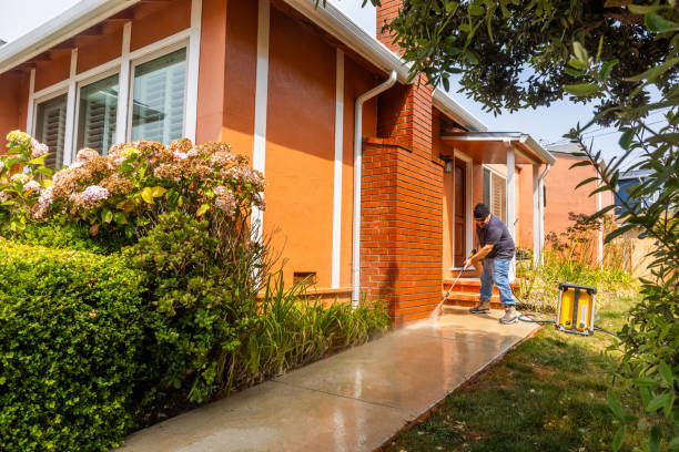 Best House Pressure Washing  in Davisboro, GA