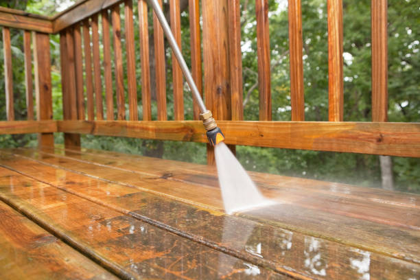 Best Roof Power Washing Services  in Davisboro, GA